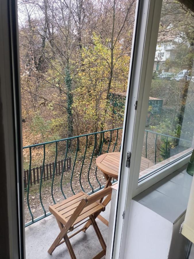 Vintage Gray Apartament Μπρασόβ Εξωτερικό φωτογραφία