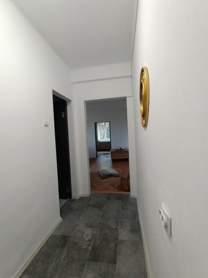 Vintage Gray Apartament Μπρασόβ Εξωτερικό φωτογραφία