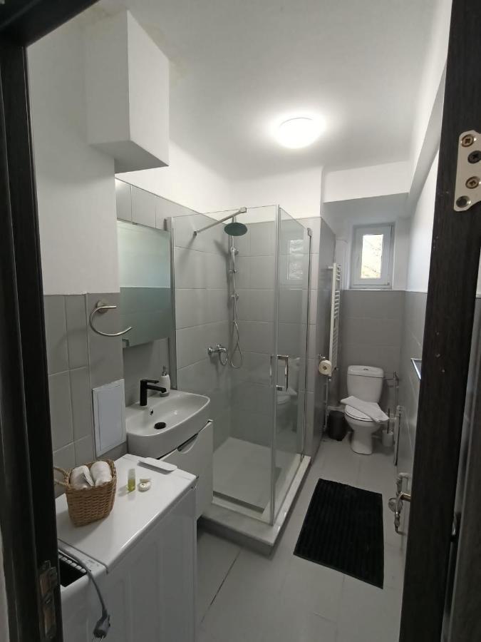 Vintage Gray Apartament Μπρασόβ Εξωτερικό φωτογραφία