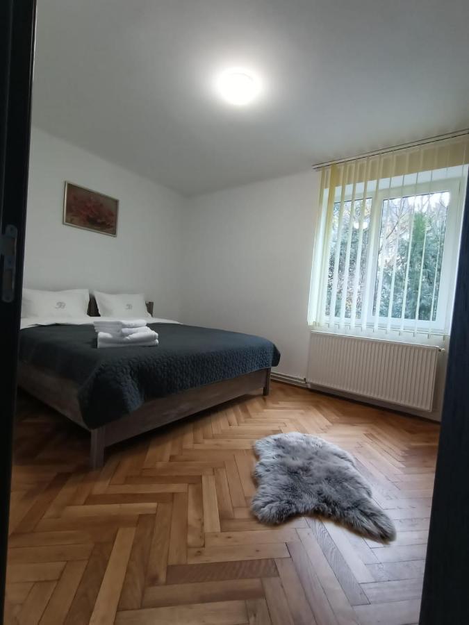 Vintage Gray Apartament Μπρασόβ Εξωτερικό φωτογραφία